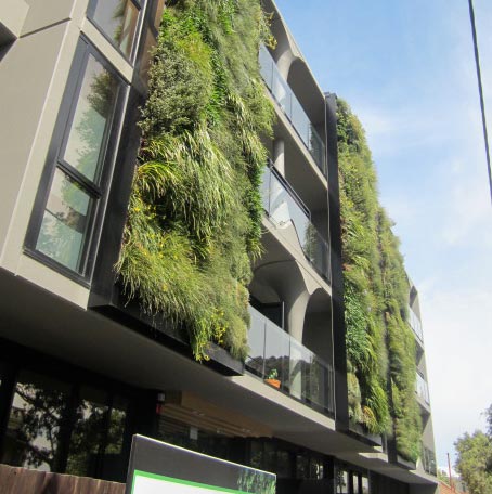 Illura Apartments - Fytowall - Fytogreen Australia