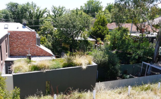 Northcote Roof Garden
