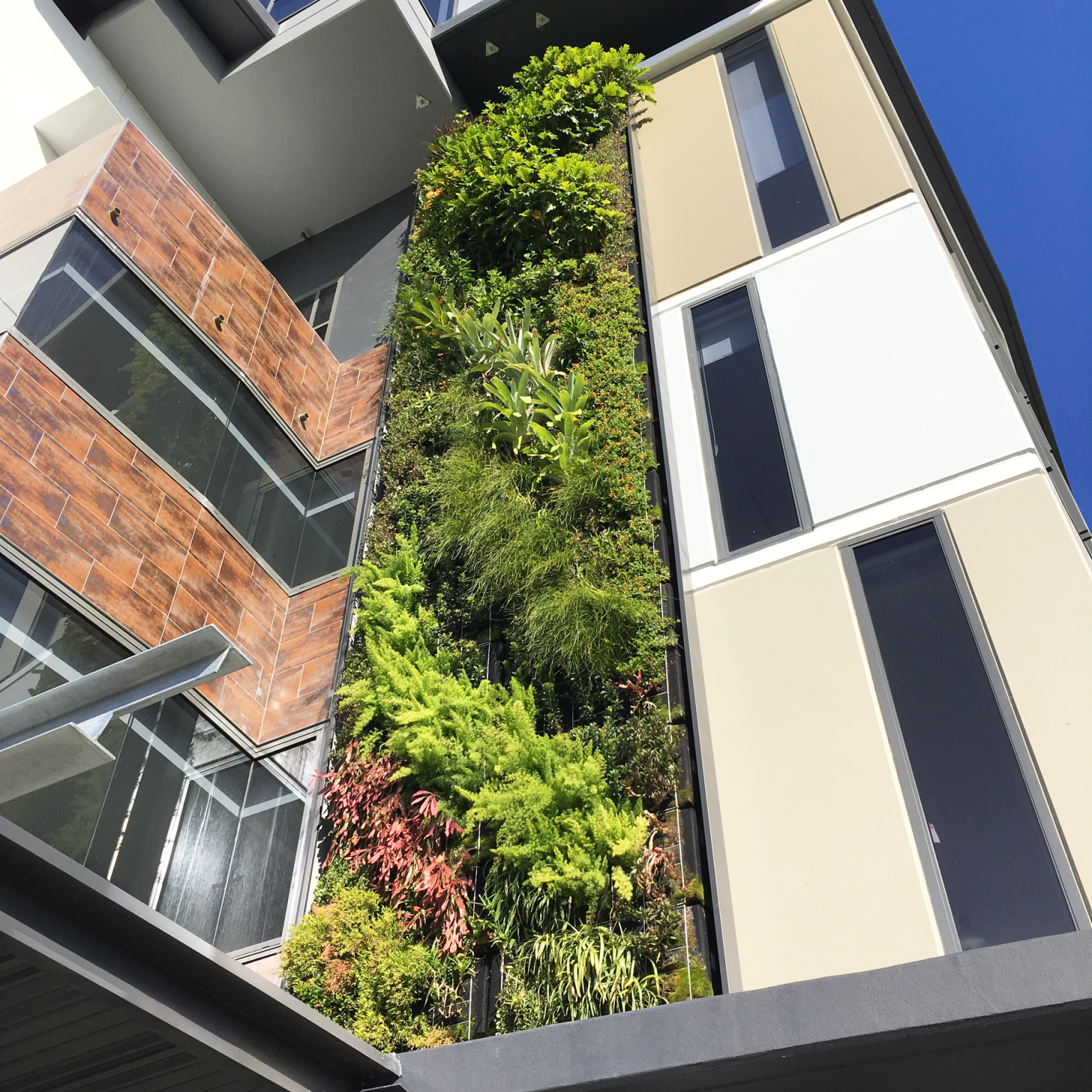 Illumina Apartments - Green Wall - Fytogreen Australia