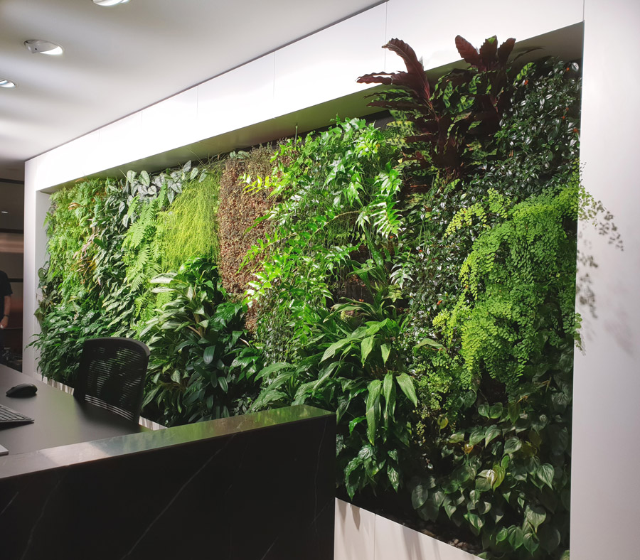 Emirates House Indoor Green Wall - Fytogreen Australia