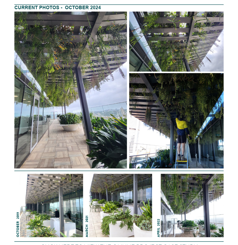 Martin Place, Ultra Lightweight Greening, FytoArbour, Fytogreen, Cascading Urban Greening