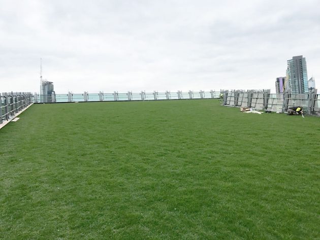 Bolte Recreational Facility - Yarra's Edge