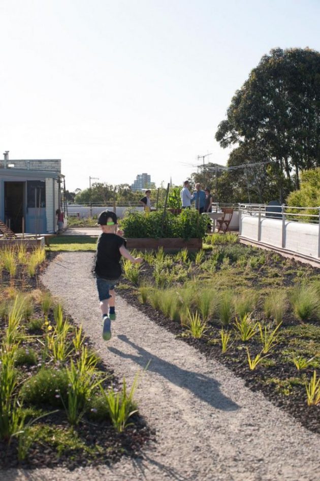 Roof Garden – Westbury Street