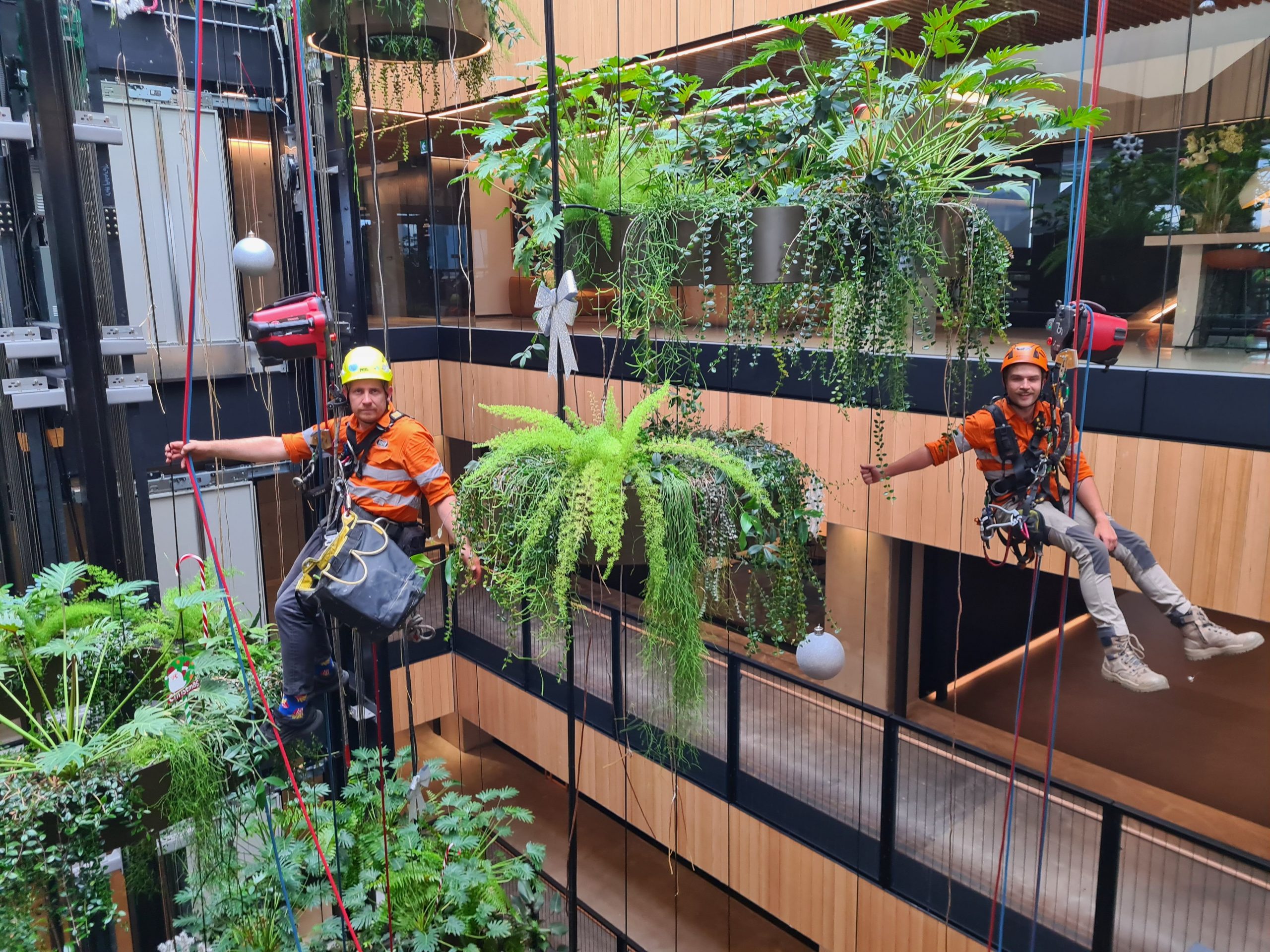 Elevated maintenance by FYtogreen