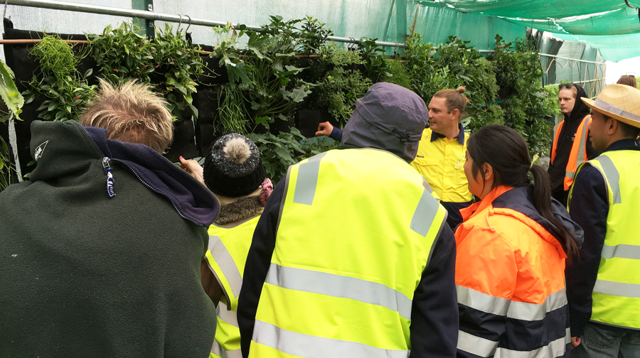 Nursery Tour, Fytogreen, Sustainable design, breathing walls
