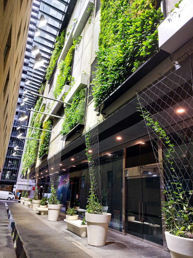 Multi Award Winning 380 Lonsdale St and Timothy Lane Greening by Fytogreen
