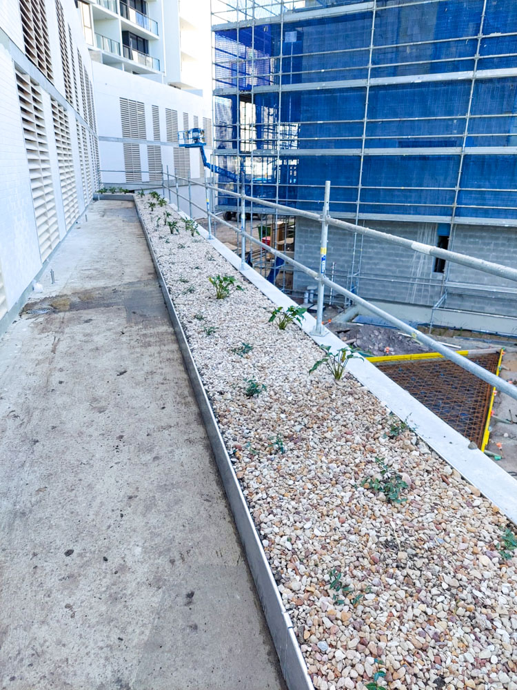 Market Lane Roof Garden at Install