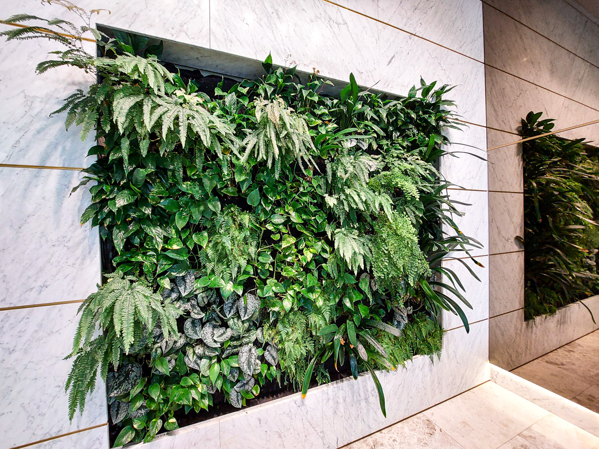 Mali - Indoor Green Wall - Fytogreen