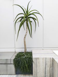Aluminium Planters at Penthouse Apartment by Fytogreen