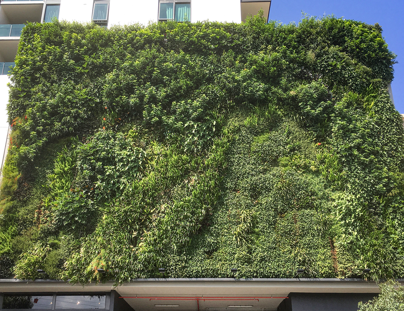 Sustainable Vertical Garden