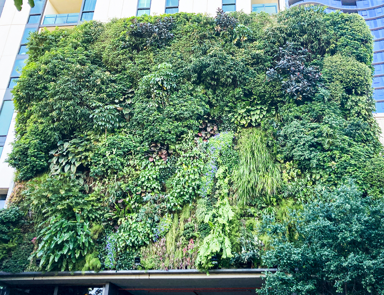 Sustainable Vertical Garden