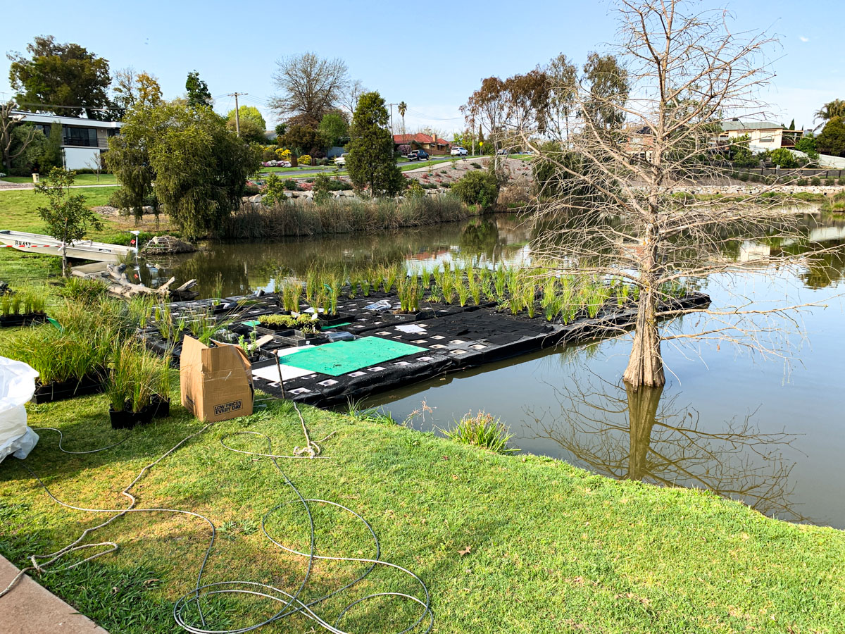 POSITIVE BUOYANCY, ENGINEERED FLOATING WETLAND by FYTOGREEN AT BELVOIR LAKE