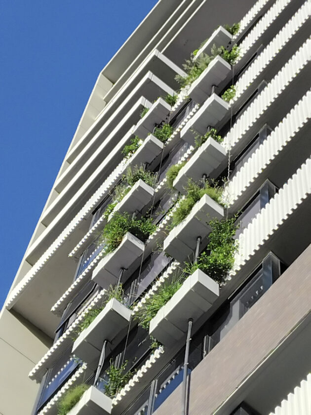 Thriving Green Facade at Oxford Street, Epping – Featuring Fytogreen’s expertly maintained LLDPE planter system, flourishing since 2018 and still vibrant in 2025