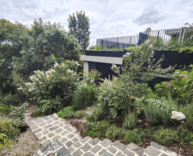 Seamless Landscaping, roof gardens, planter boxes, trees and lawn at private residence in Hawthorn