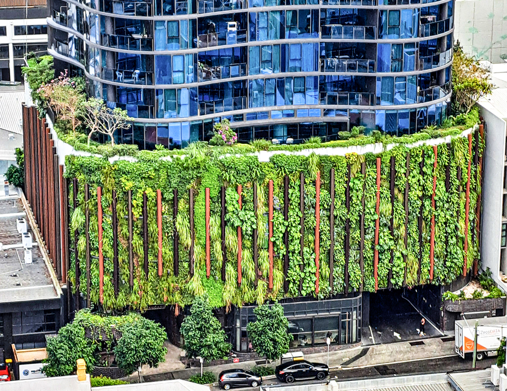 Manning Street Brisbane, Green Wall by Fytogreen