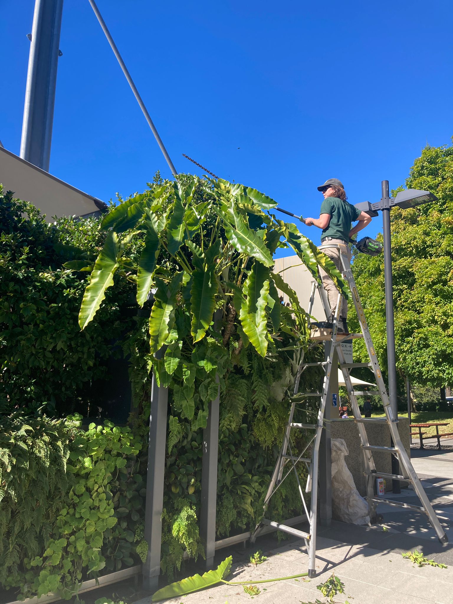 The Gold Standard in Green - Fytogreen Maintenance Department