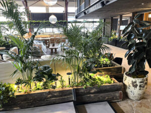 The lush green infrastructure at 1 Hotel & Homes at Seafarers. designed by Fytogreen, showcases sustainable urban landscaping with nearly 5,000 plants, green walls, and rooftop biodiversity in the heart of Melbourne.