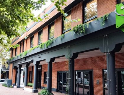 Fytogreen transformed The Boot Factory with 431 plants across 96 irrigated planters, bringing biodiversity and green design to Bondi Junction.