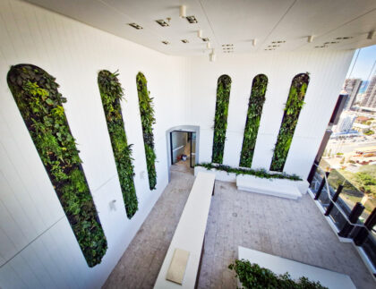 Fytogreen’s FC FytoFelt green wall installation delivers 16m² of lush vertical greenery to the Level 22 breakout area of Destination Gold Coast Tower 2