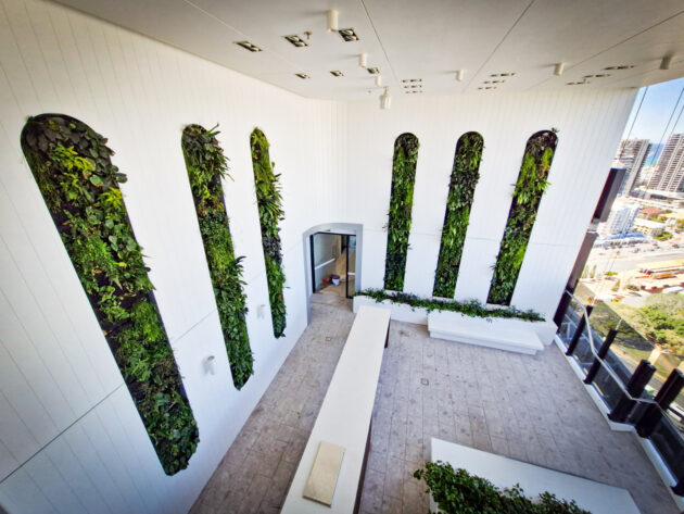 Fytogreen’s FC FytoFelt green wall installation delivers 16m² of lush vertical greenery to the Level 22 breakout area of Destination Gold Coast Tower 2