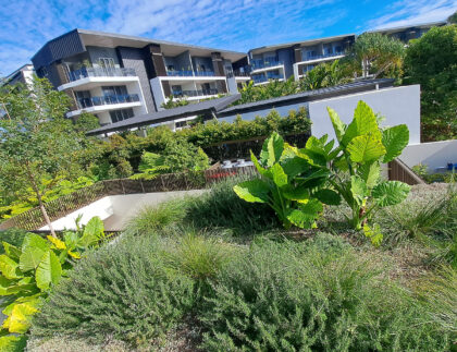 Fytogreen transformed Tallow, Settlers Cove with a 68m² pool pavilion roof garden, blending luxury design with sustainable greenery