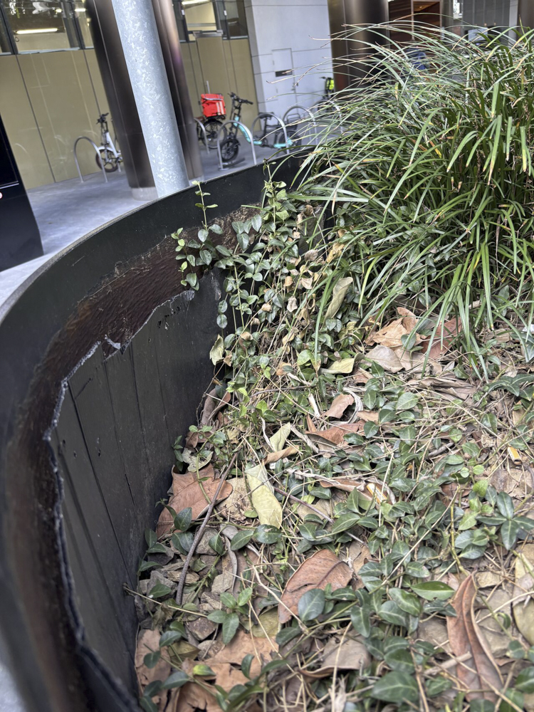 The Slumpage Crisis: 
When Gardens Sink! - Example of Media Settlement  - Melbourne, CBD – October 2025