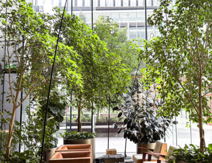Indoor green foyer at Melbourne Quarter featuring large trees, layered planting, and sustainable water reservoir planter boxes by Fytogreen.
