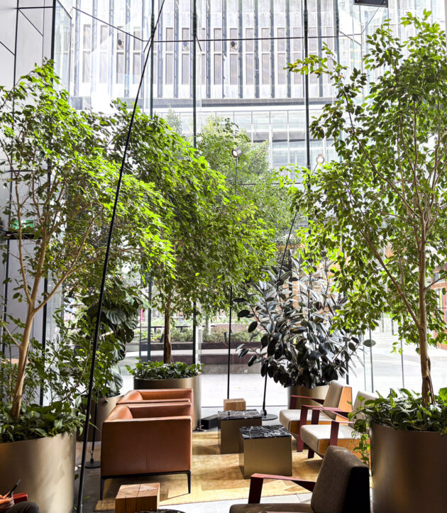 Indoor green foyer at Melbourne Quarter featuring large trees, layered planting, and sustainable water reservoir planter boxes by Fytogreen.