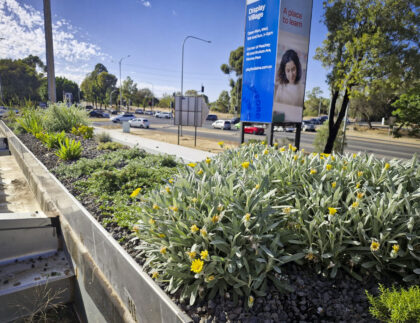 Part of Fytogreen’s green roof projects for Nando’s restaurants, delivering sustainable, lightweight rooftop solutions.