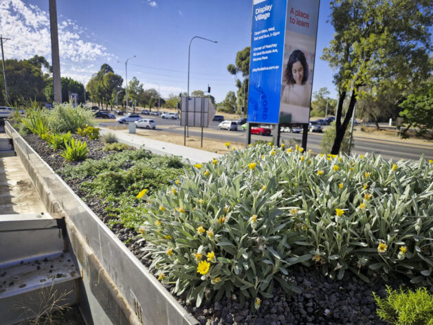 Part of Fytogreen’s green roof projects for Nando’s restaurants, delivering sustainable, lightweight rooftop solutions.