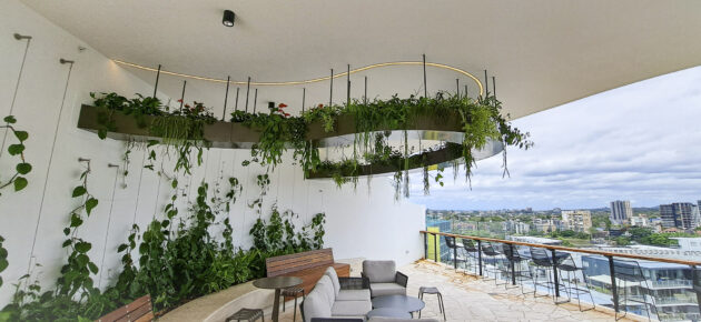Draped greenery installed on sculptural ceiling arbor at The Lanes, showcasing Fytogreen’s lightweight systems softening architectural curves.