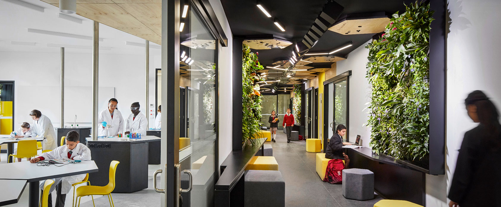 biophilic design education