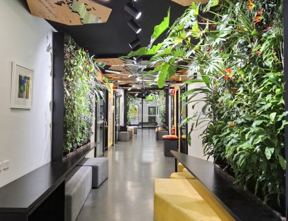 Mature indoor green walls at Caroline Chisholm Catholic College, thriving ten years after installation by Fytogreen
