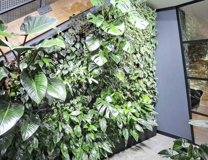 Indoor Fytogreen living wall installed along a stairwell, featuring lush layered foliage and biophilic design elements.