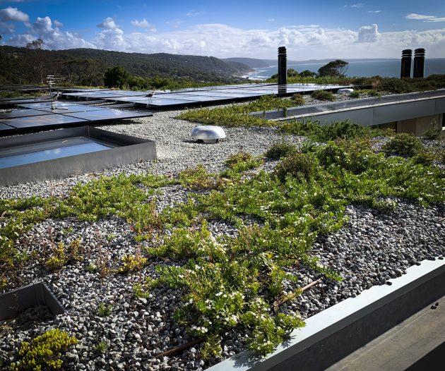 Biosolar roof gardens with solar panels