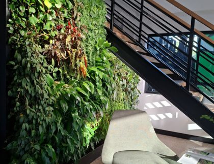 Indoor FytoFelt green wall installed beneath a feature staircase at EcoCycle's St Marys headquarters, featuring 100 plants across 11 species.