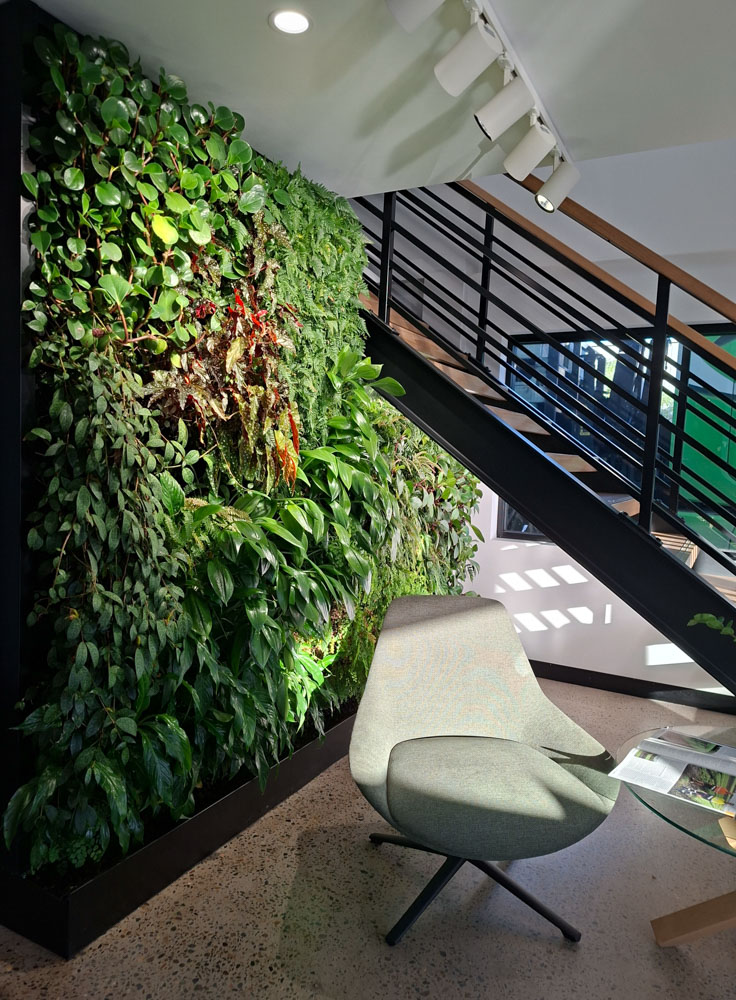 Indoor FytoFelt green wall installed beneath a feature staircase at EcoCycle's St Marys headquarters, featuring 100 plants across 11 species.