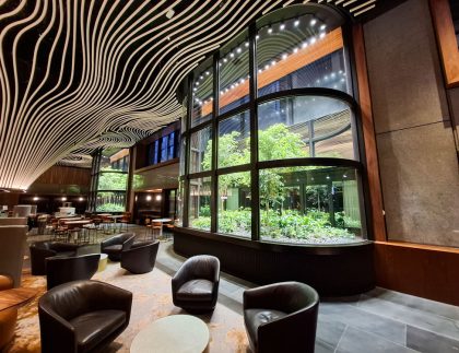 Fytogreen Winter Garden installation at 367 Collins Street showcasing mature Ficus benjamina trees, layered planting and custom engineered planter systems.