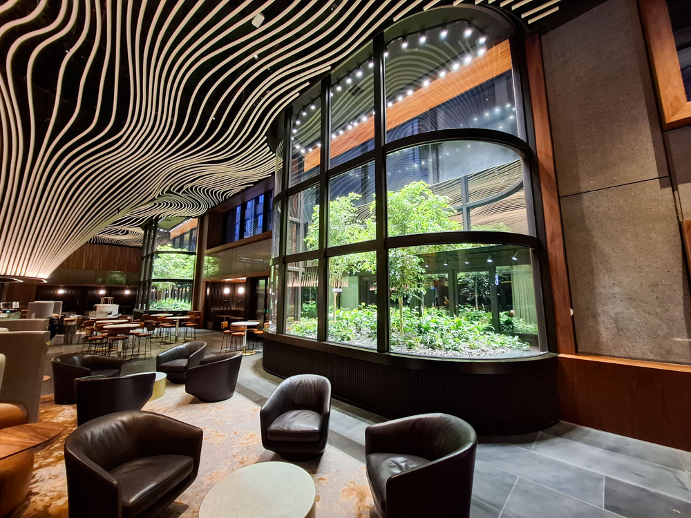 Fytogreen Winter Garden installation at 367 Collins Street showcasing mature Ficus benjamina trees, layered planting and custom engineered planter systems.
