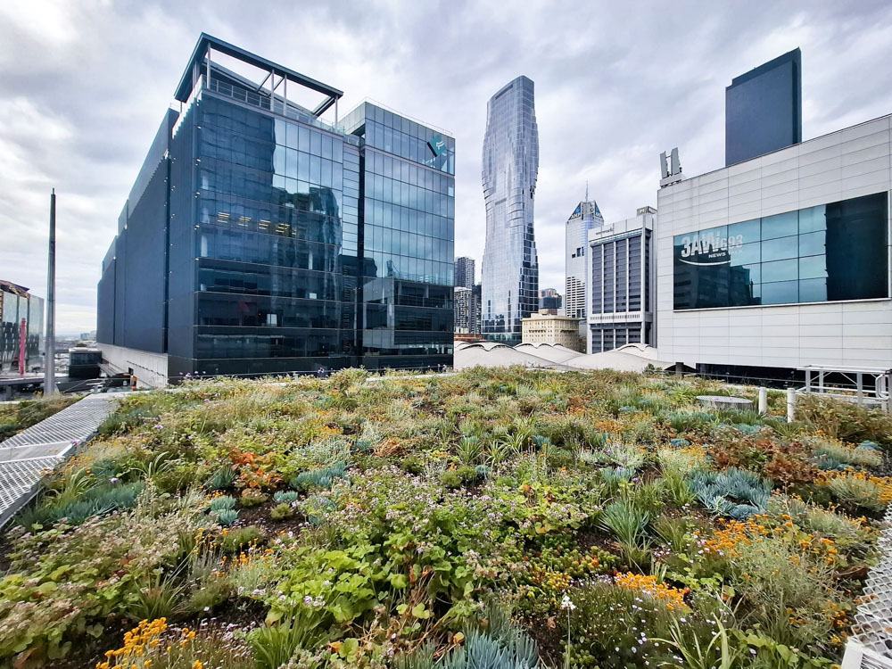 MQT_C2_RoofGarden35