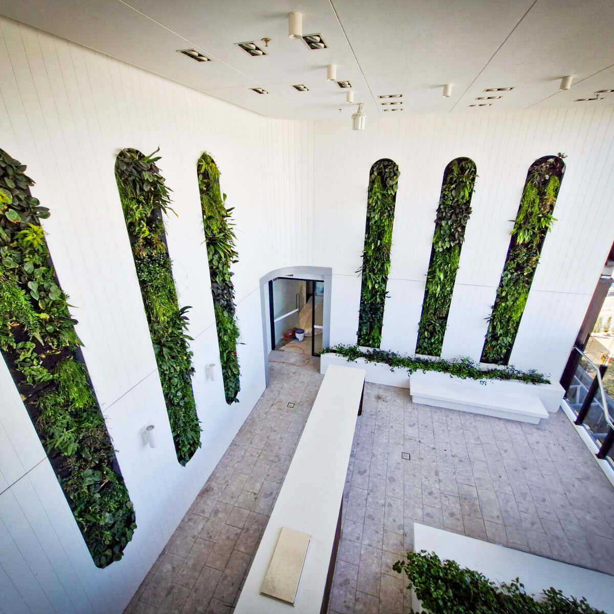 Fytogreen’s FC FytoFelt green wall installation delivers 16m² of lush vertical greenery to the Level 22 breakout area of Destination Gold Coast Tower 2