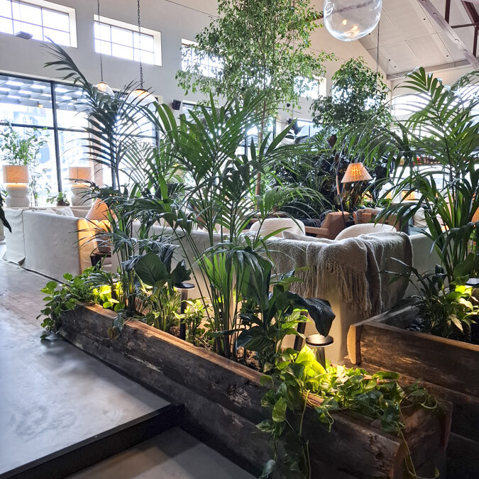 The lush green infrastructure at  1 Hotel & Homes at Seafarers. designed by Fytogreen, showcases sustainable urban landscaping with nearly 5,000 plants, green walls, and rooftop biodiversity in the heart of Melbourne.