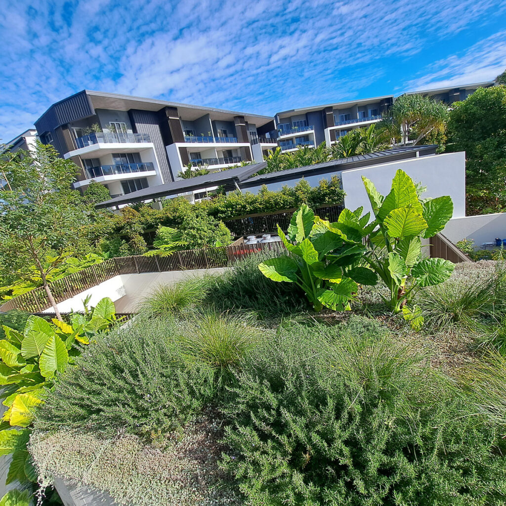 Fytogreen transformed Tallow, Settlers Cove with a 68m² pool pavilion roof garden, blending luxury design with sustainable greenery